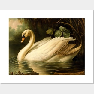 Vintage Swan Posters and Art